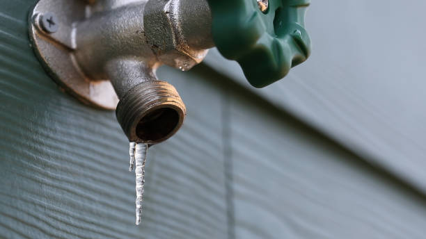 Best Plumbing Inspection Services  in Hlside, IL